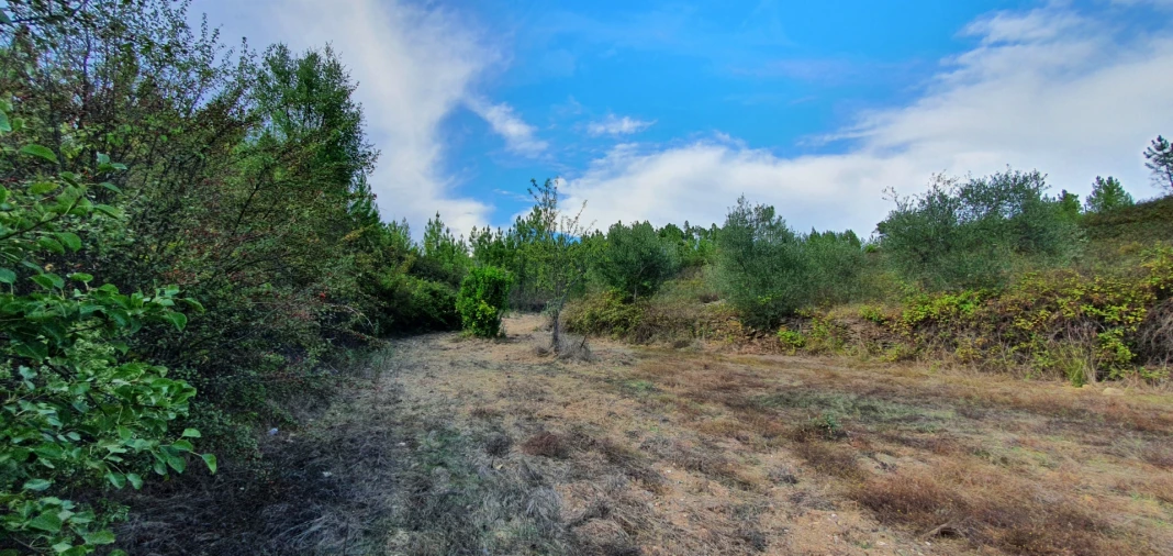 Quinta T0 para Venda em Santo Andre das Tojeiras Foto 2