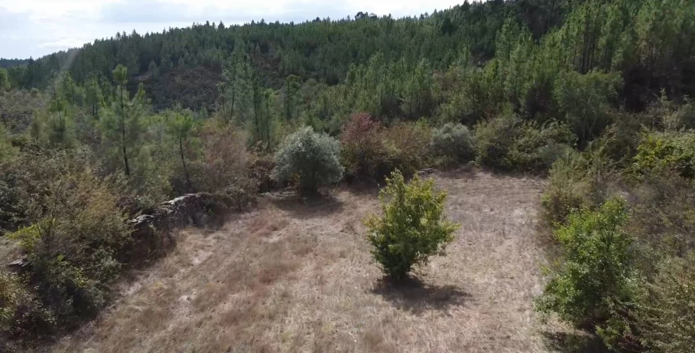 Quinta T0 para Venda em Santo Andre das Tojeiras Foto 7
