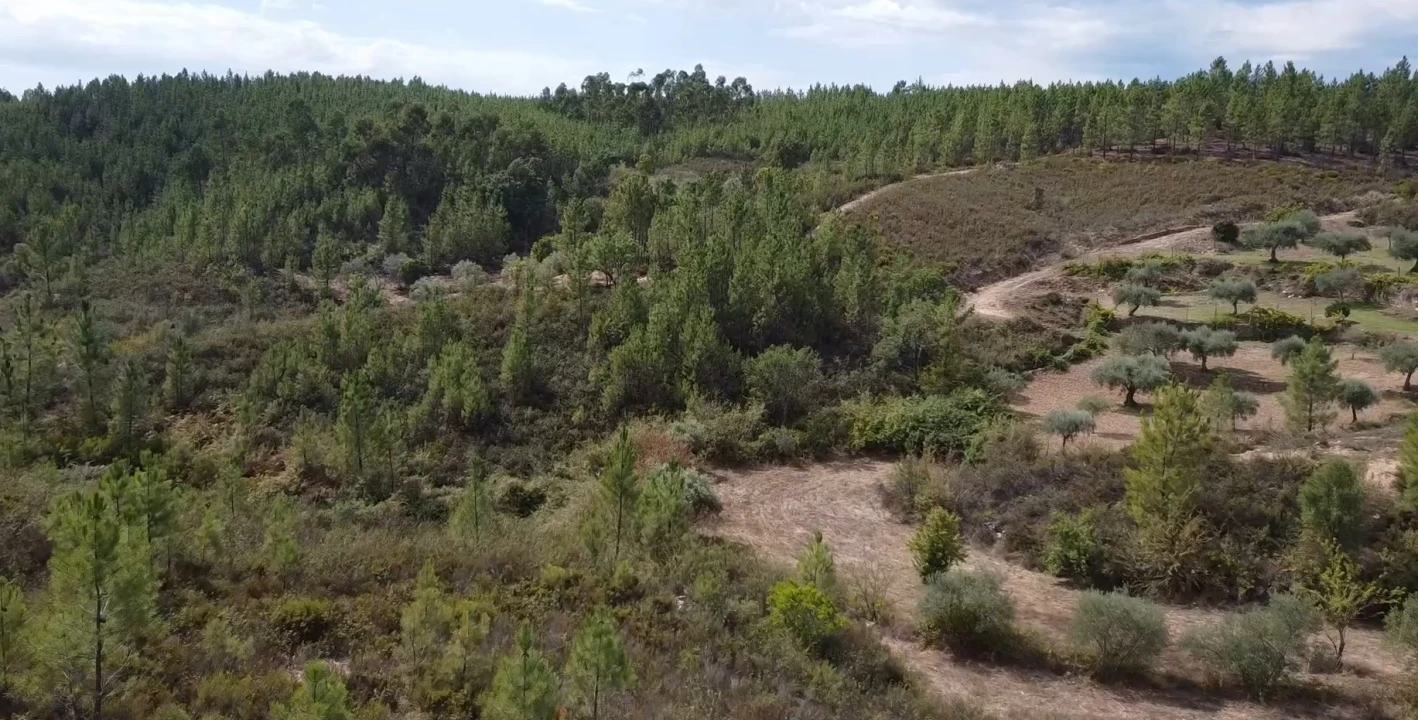 Quinta T0 para Venda em Santo Andre das Tojeiras Foto 11