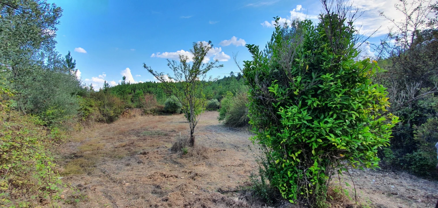 Quinta T0 para Venda em Santo Andre das Tojeiras Foto 4