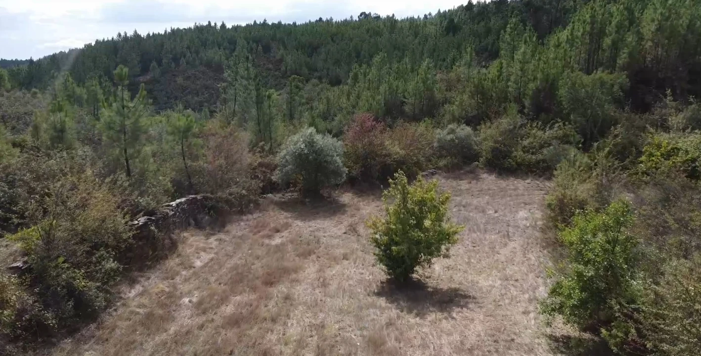Quinta T0 para Venda em Santo Andre das Tojeiras Foto 7
