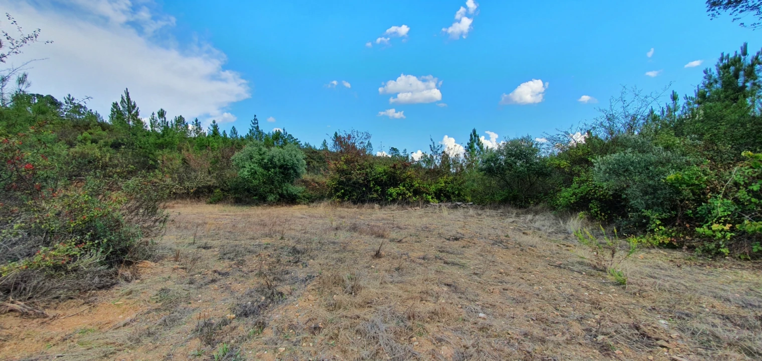 Quinta T0 para Venda em Santo Andre das Tojeiras Foto 3