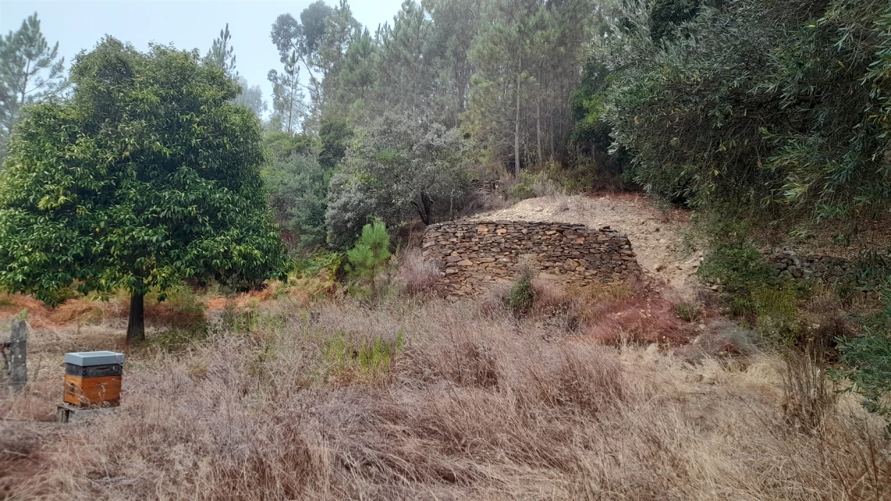 Terreno Agricola ou Rústico para Venda em Santo Andre das Tojeiras Foto 8