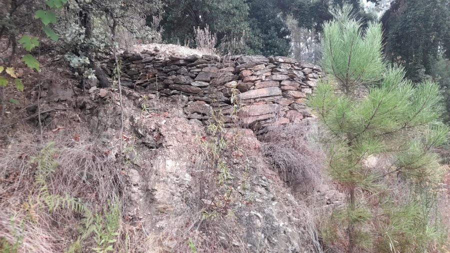 Terreno Agricola ou Rústico para Venda em Santo Andre das Tojeiras Foto 5