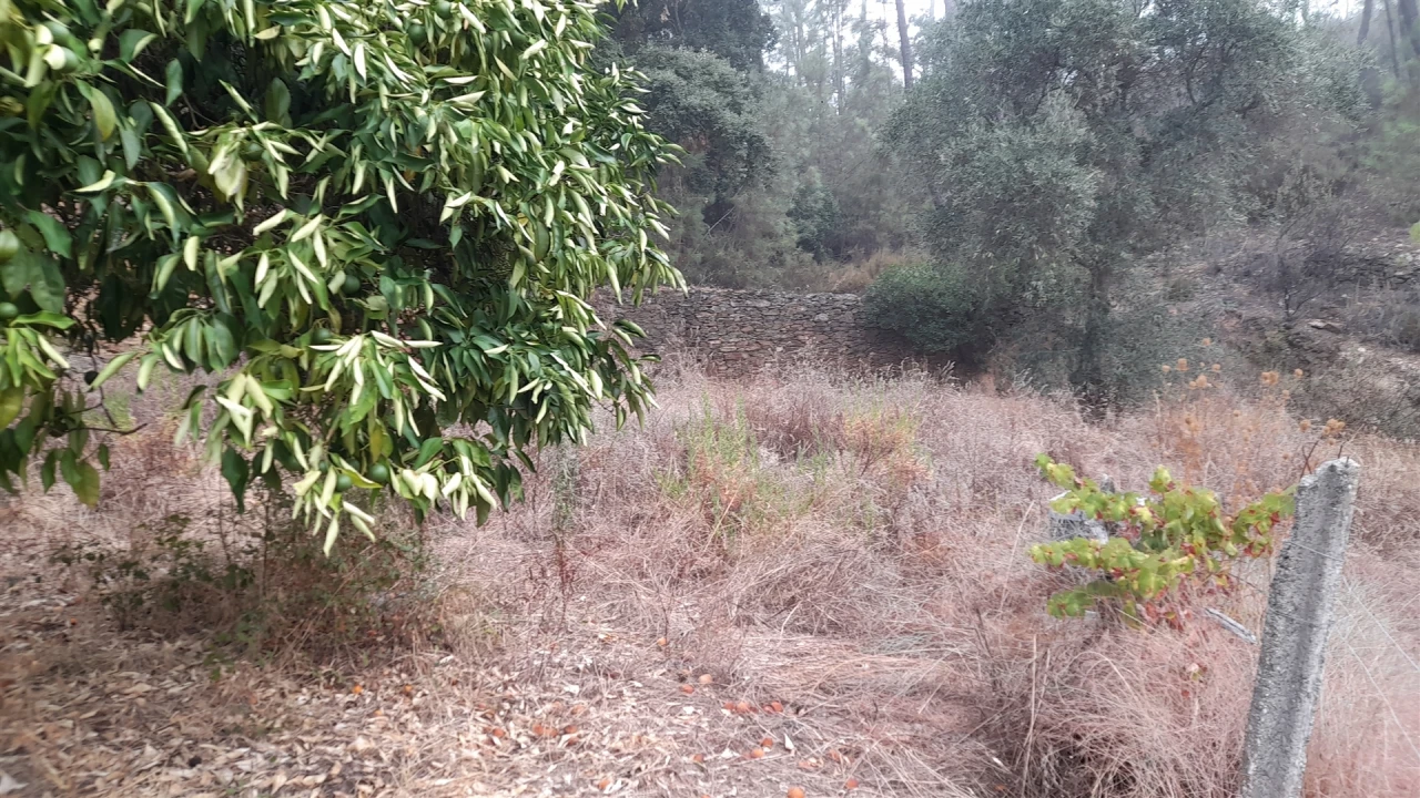 Terreno Agricola ou Rústico para Venda em Santo Andre das Tojeiras Foto 2
