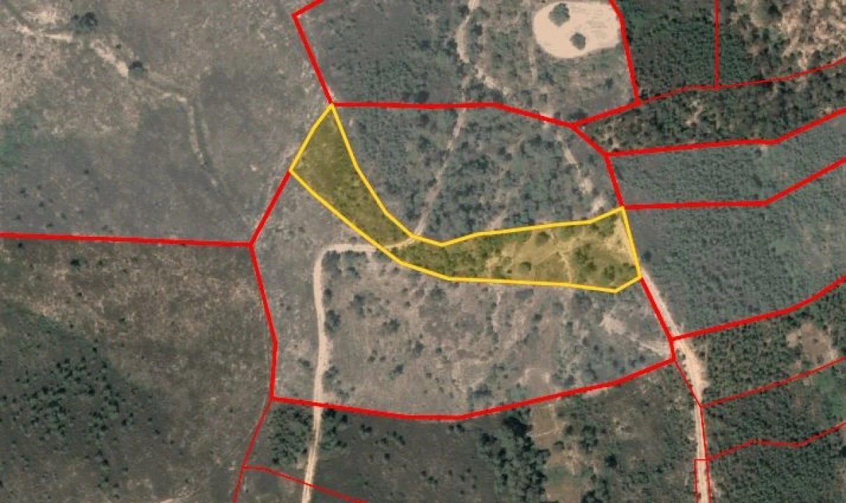 Terreno Agricola ou Rústico para Venda em Santo Andre das Tojeiras Foto 9