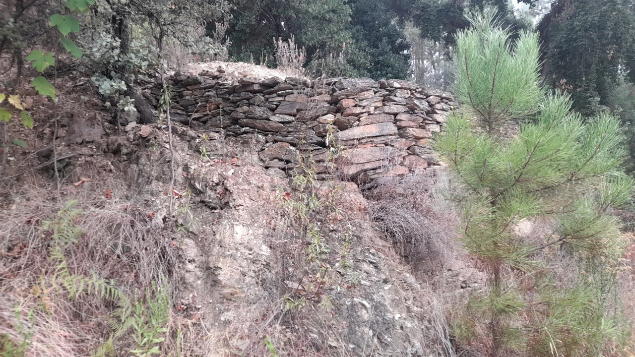 Terreno Agricola ou Rústico para Venda em Santo Andre das Tojeiras Foto 5