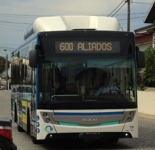 Terreno para Venda em Paranhos Foto 7