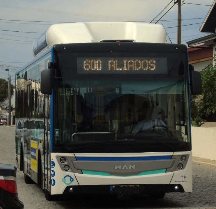 Terreno para Venda em Paranhos Foto 7