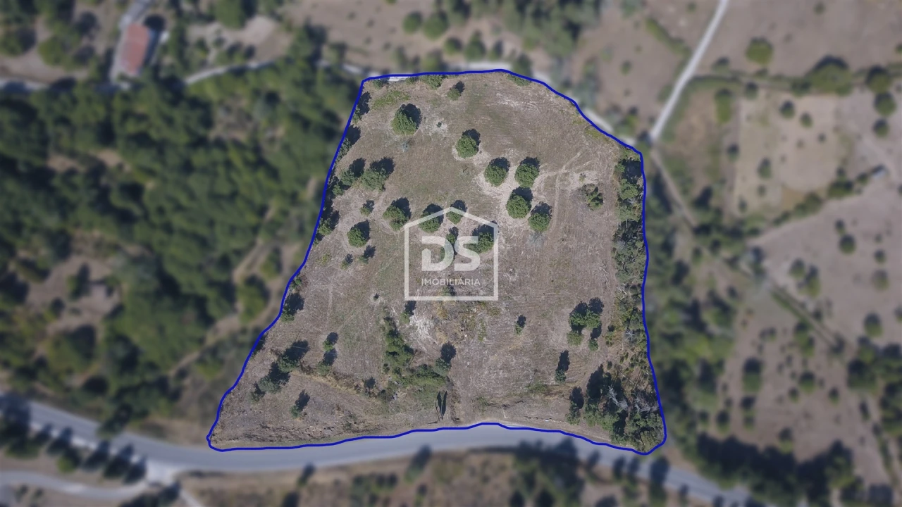 Terreno Agricola ou Rústico para Venda em Trancoso (São Pedro e Santa Maria) e Souto Maior Foto 1