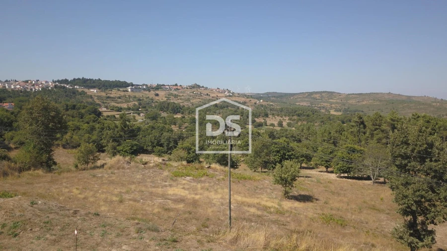 Terreno Agricola ou Rústico para Venda em Trancoso (São Pedro e Santa Maria) e Souto Maior Foto 2