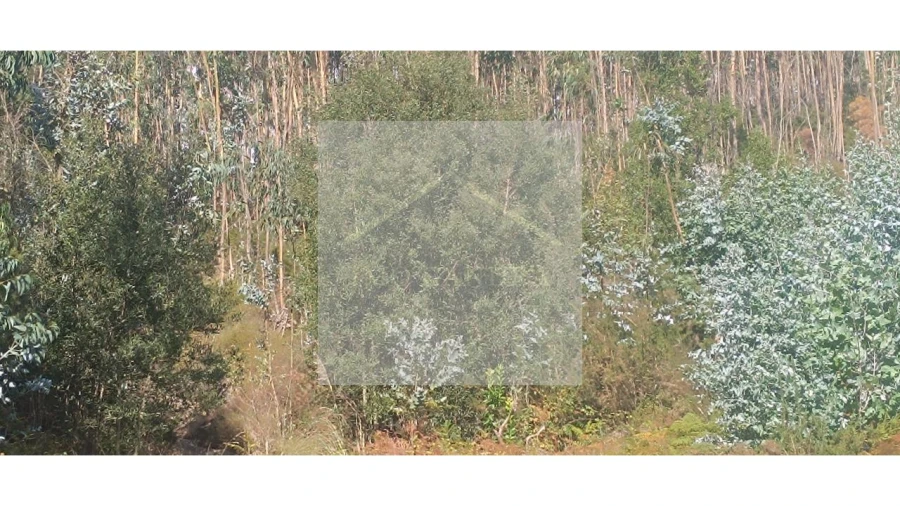 Terreno para Venda em Valongo Foto 13