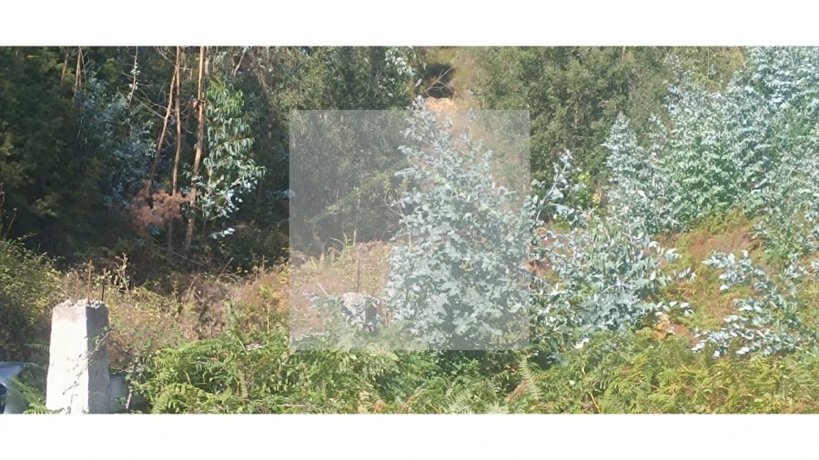 Terreno para Venda em Valongo Foto 10