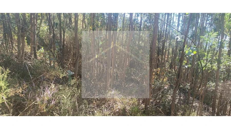 Terreno para Venda em Valongo Foto 17