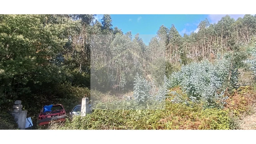 Terreno para Venda em Valongo Foto 8