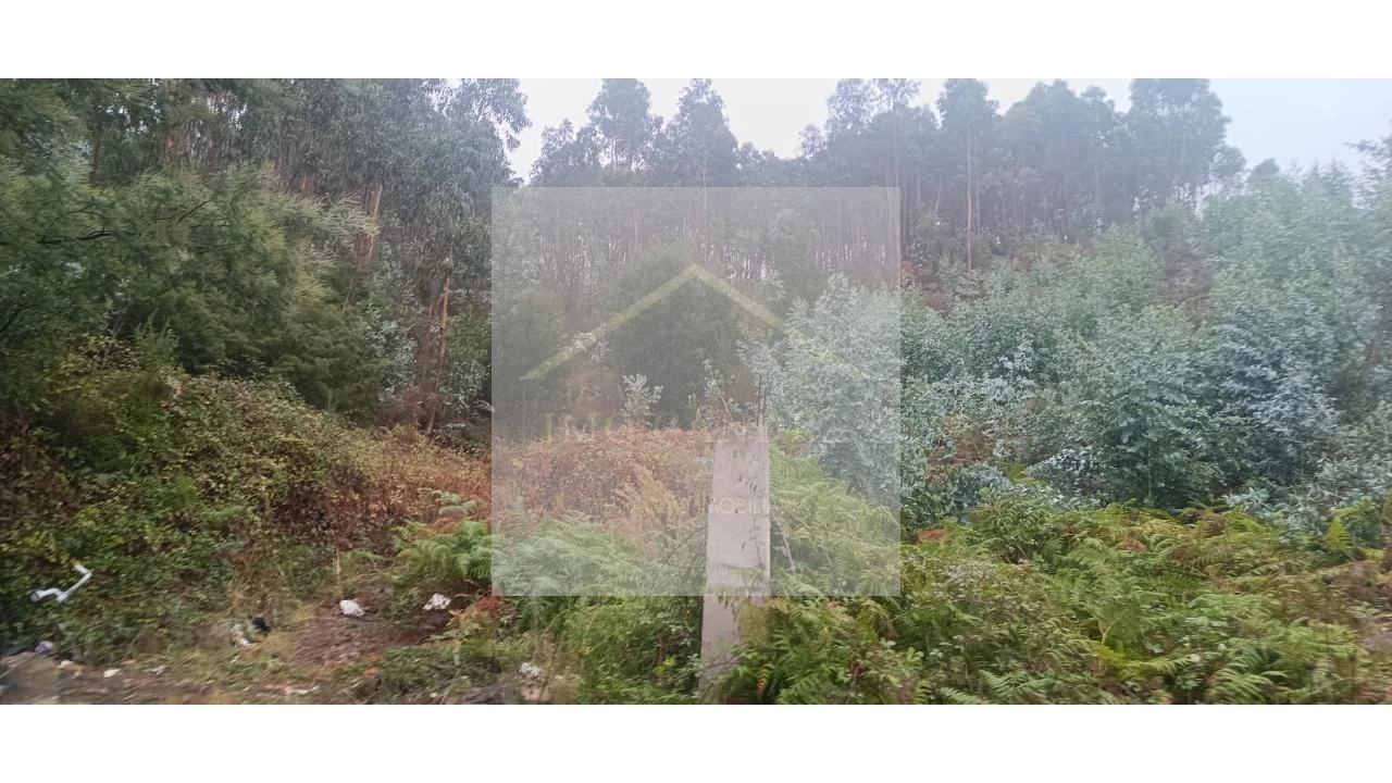 Terreno para Venda em Valongo Foto 5