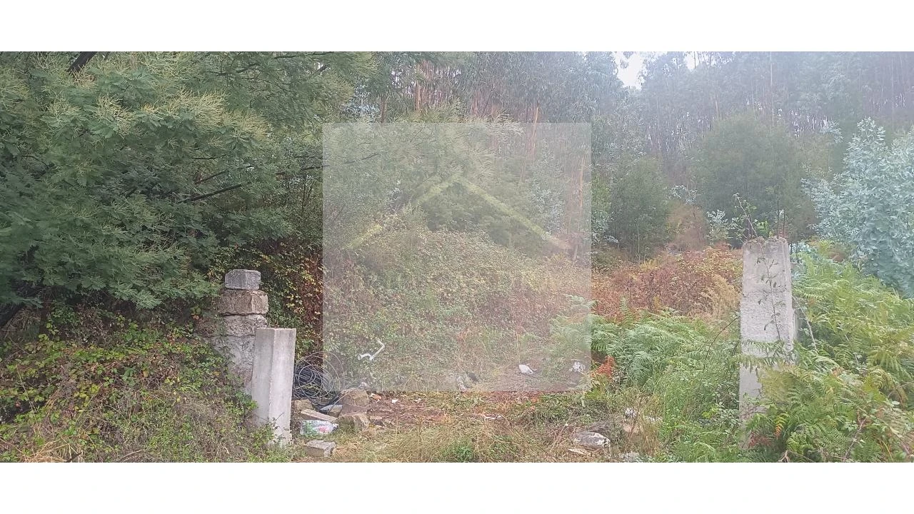 Terreno para Venda em Valongo Foto 3