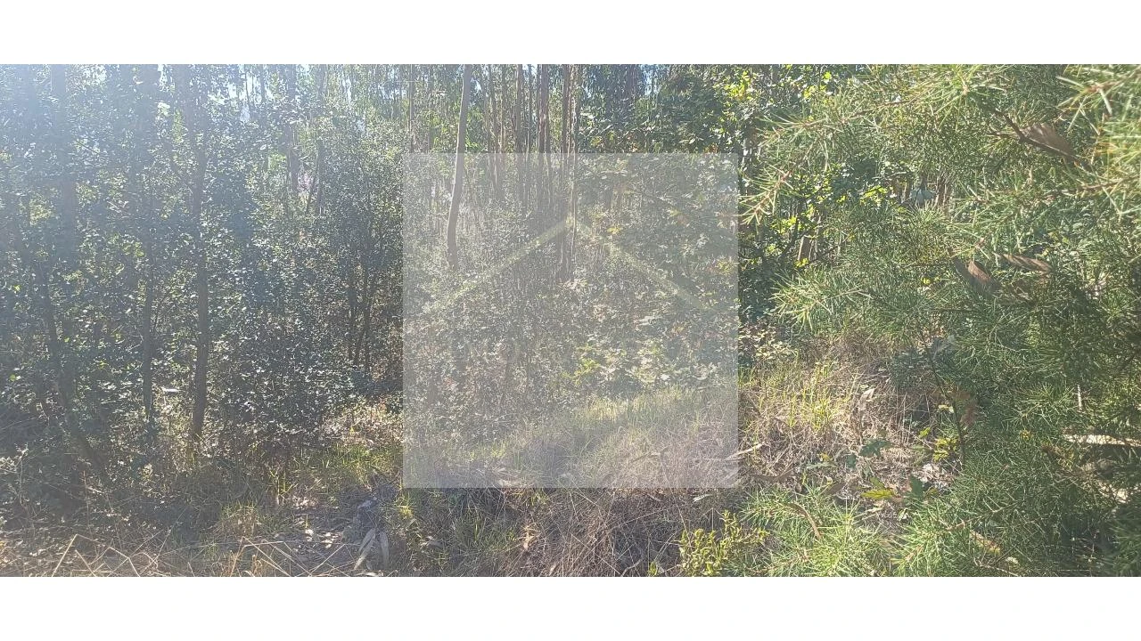 Terreno para Venda em Valongo Foto 16