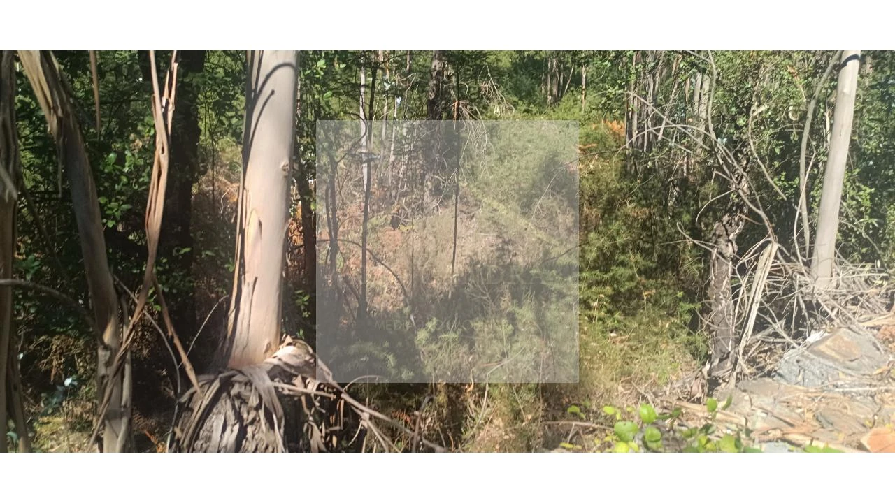 Terreno para Venda em Valongo Foto 12