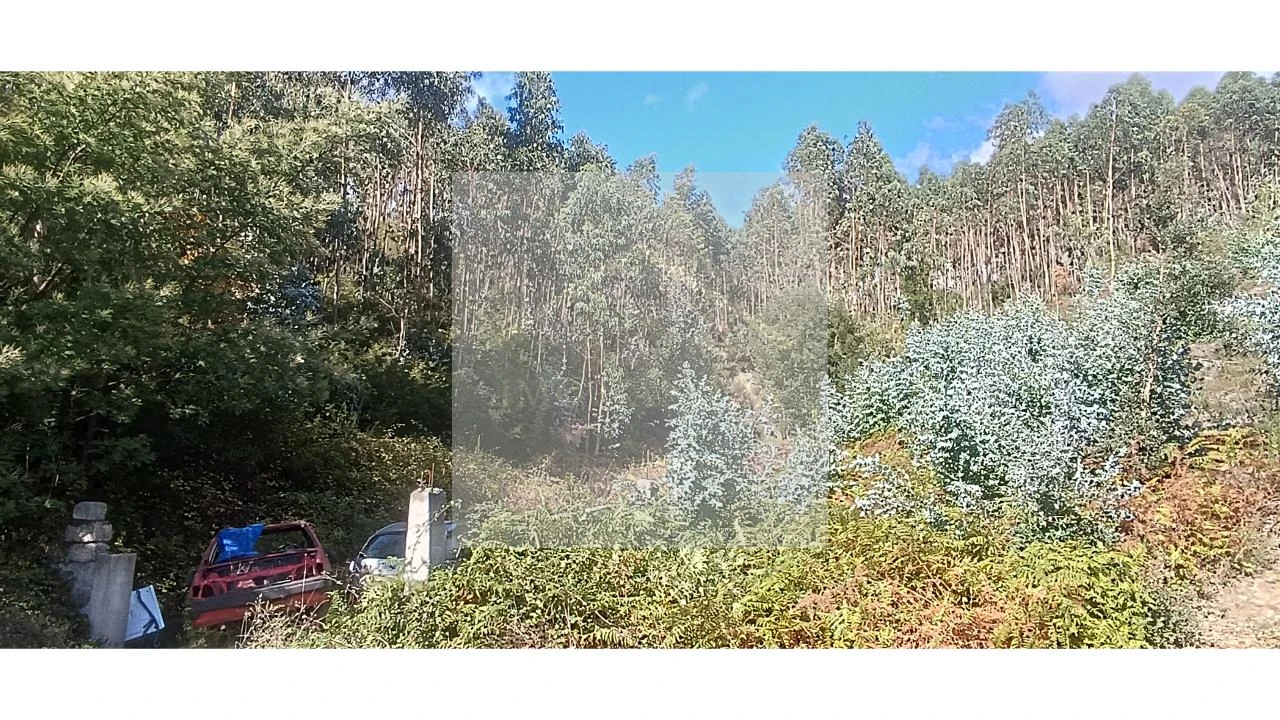 Terreno para Venda em Valongo Foto 8