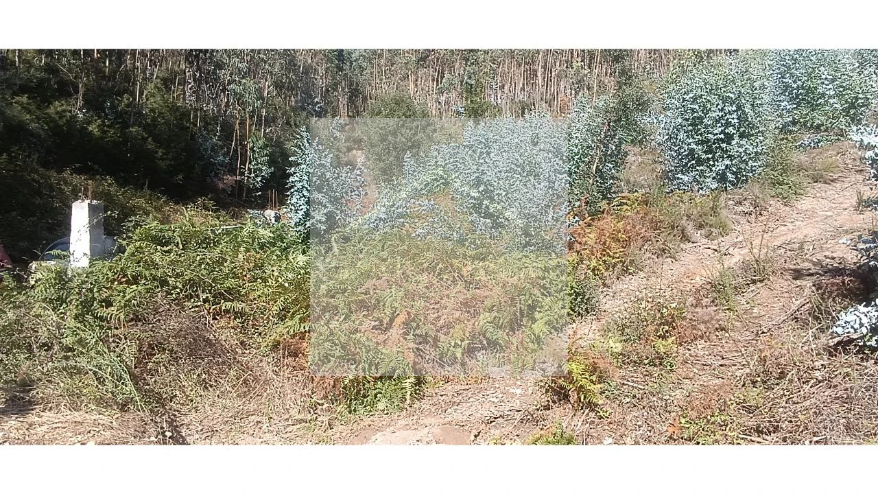 Terreno para Venda em Valongo Foto 11