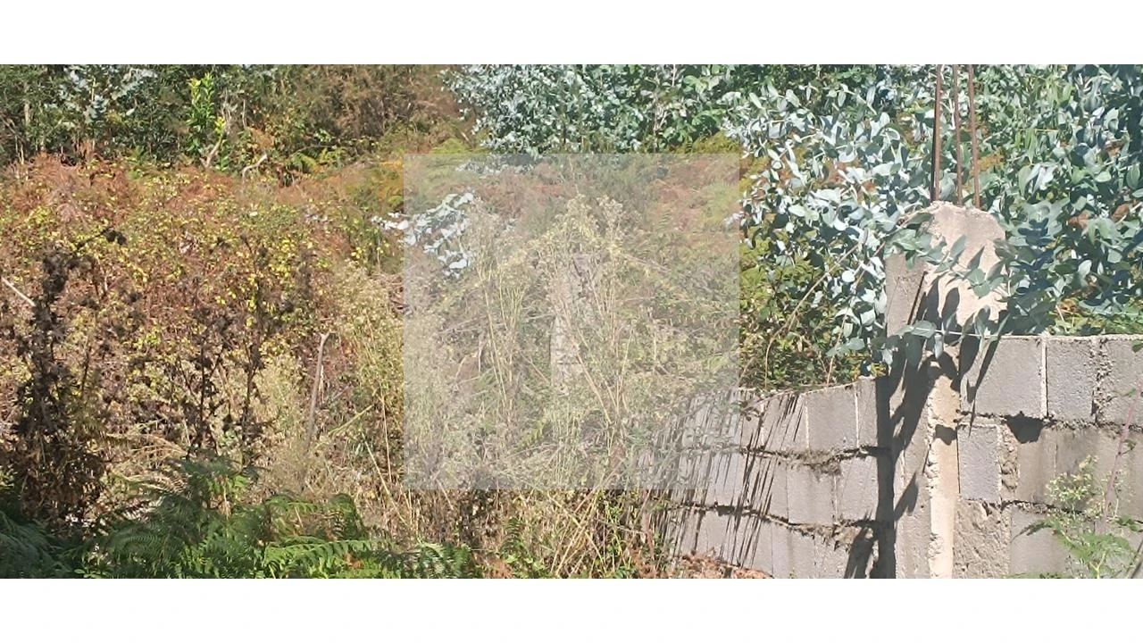 Terreno para Venda em Valongo Foto 9