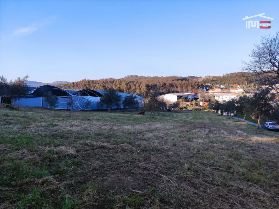 Terreno Agricola ou Rústico para Venda em Atouguia Foto 10