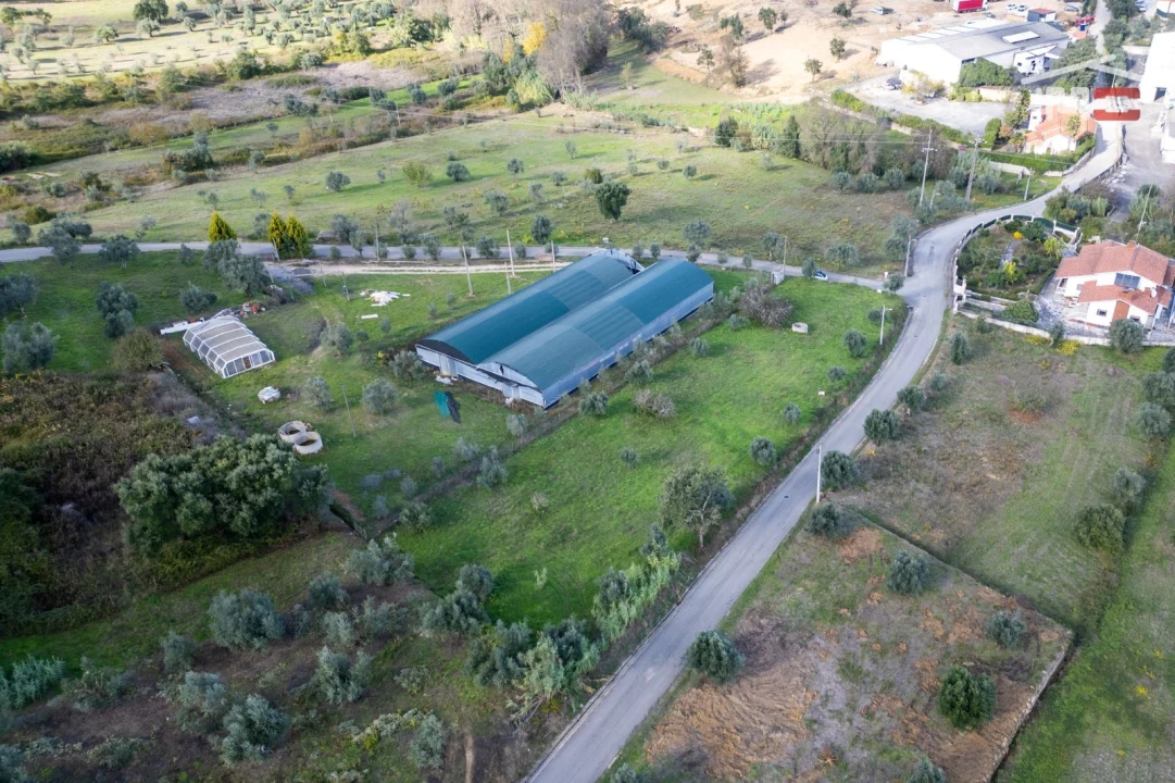 Terreno Agricola ou Rústico para Venda em Atouguia Foto 13