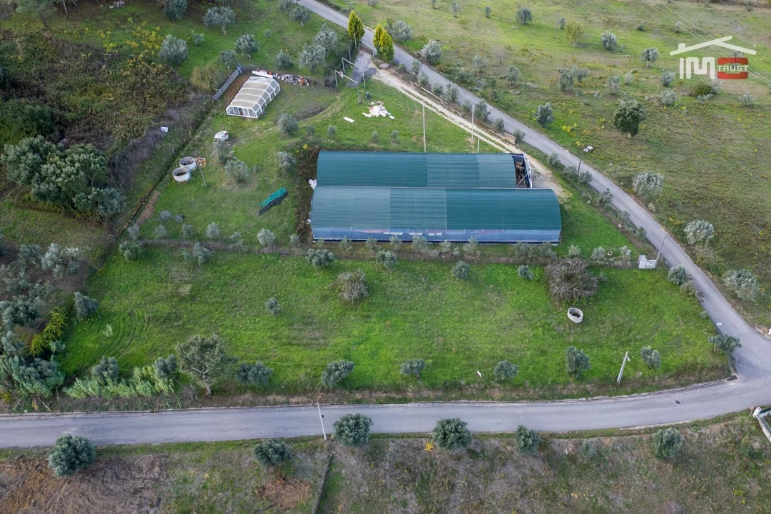Terreno Agricola ou Rústico para Venda em Atouguia Foto 14