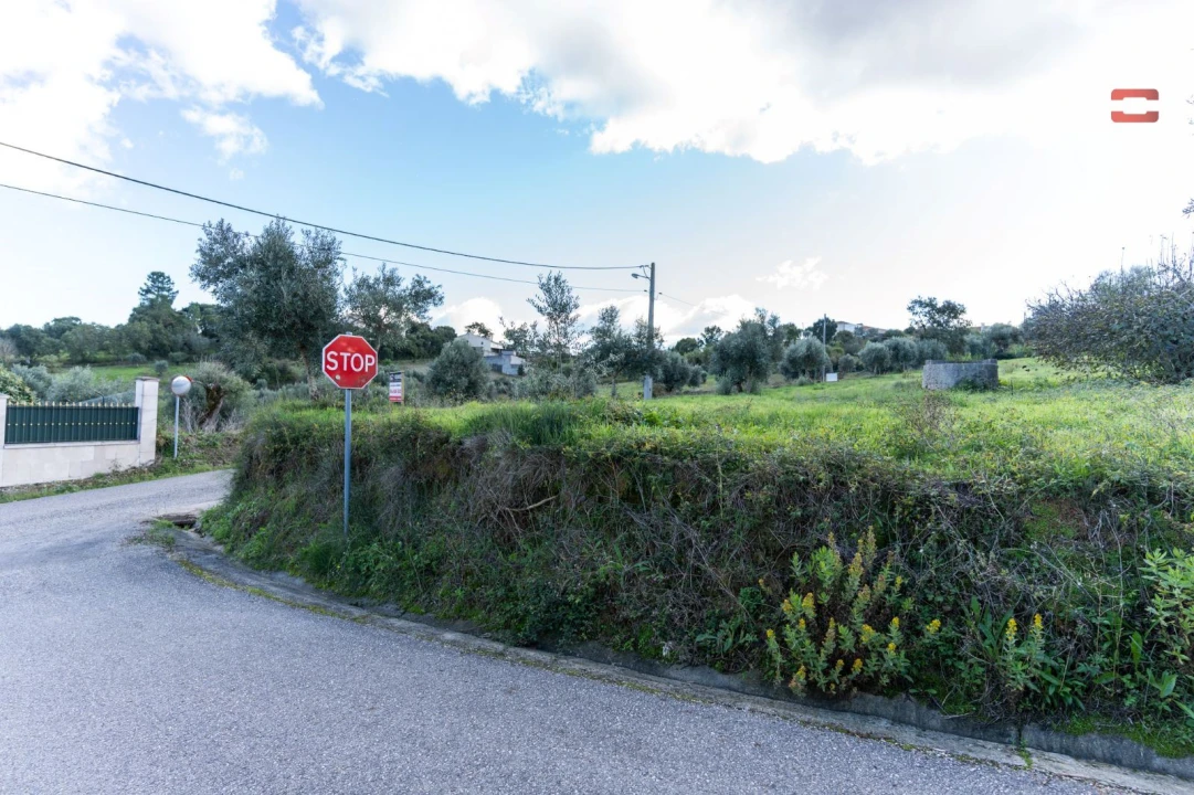 Terreno Agricola ou Rústico para Venda em Atouguia Foto 15