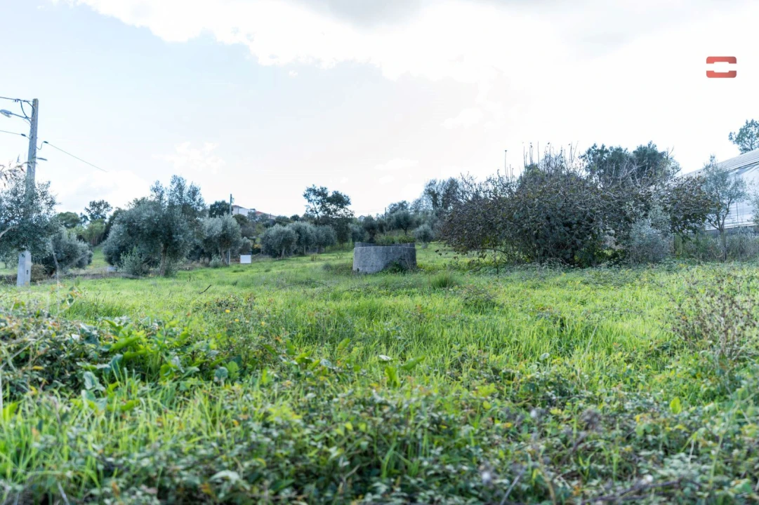Terreno Agricola ou Rústico para Venda em Atouguia Foto 16
