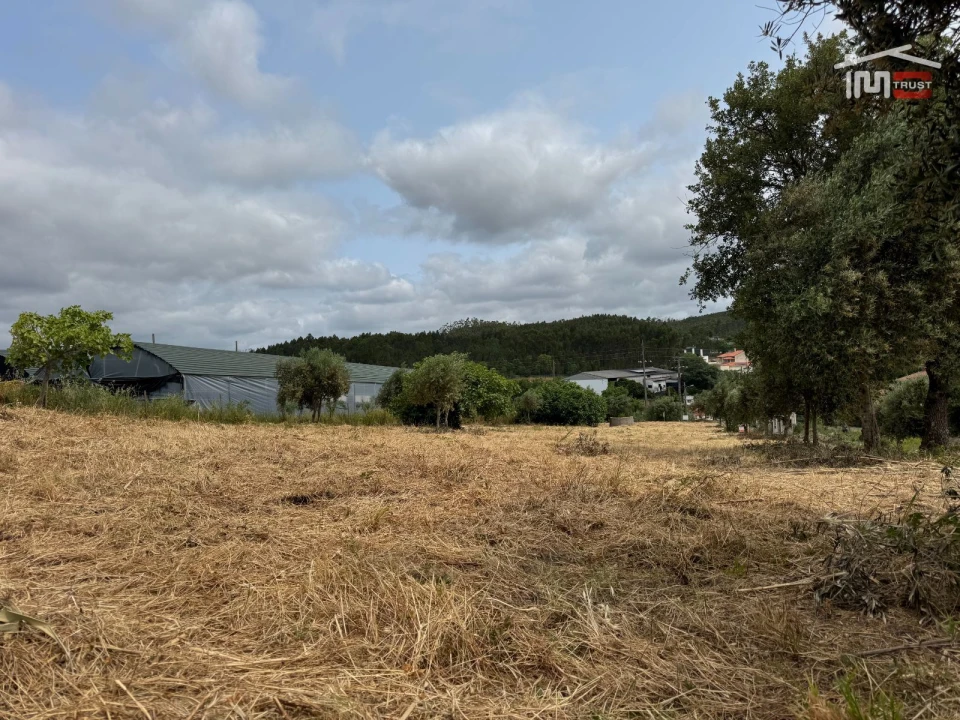 Terreno Agricola ou Rústico para Venda em Atouguia Foto 20