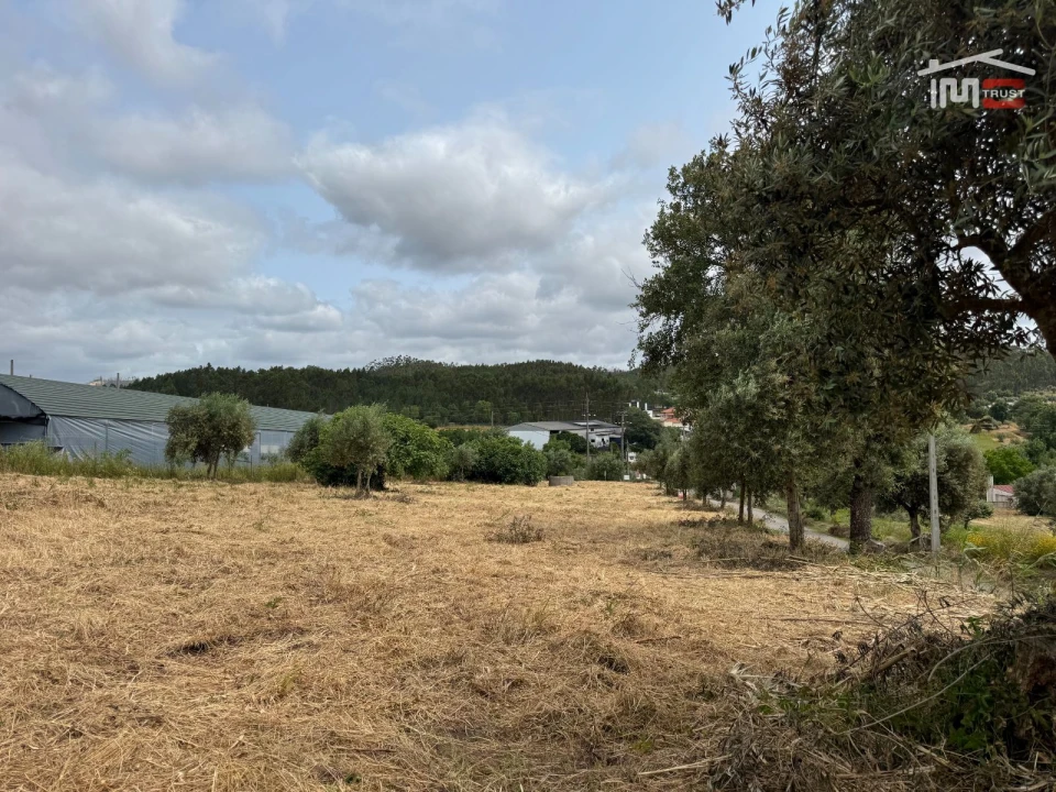 Terreno Agricola ou Rústico para Venda em Atouguia Foto 21
