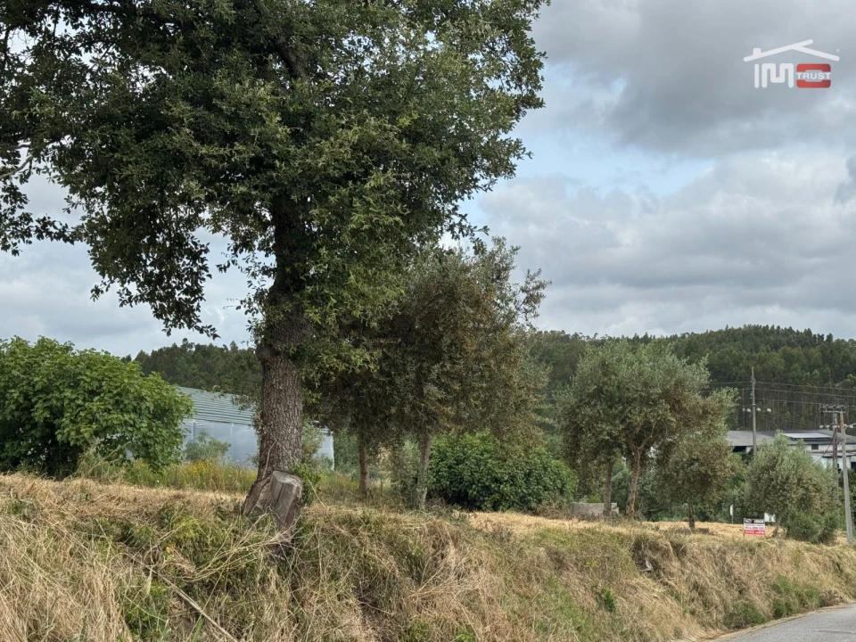 Terreno Agricola ou Rústico para Venda em Atouguia Foto 22