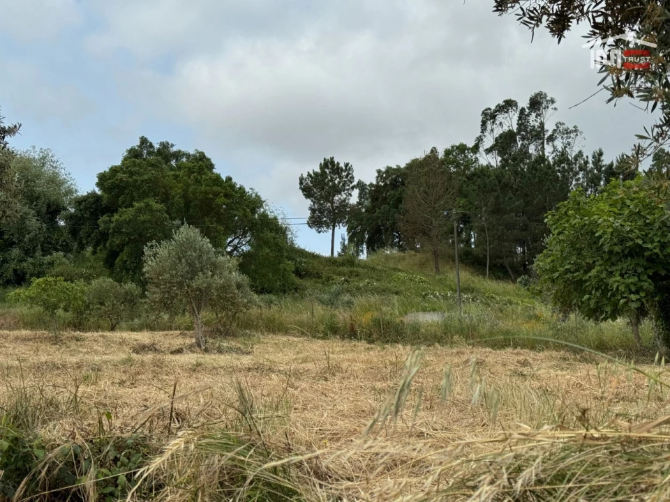 Terreno Agricola ou Rústico para Venda em Atouguia Foto 24