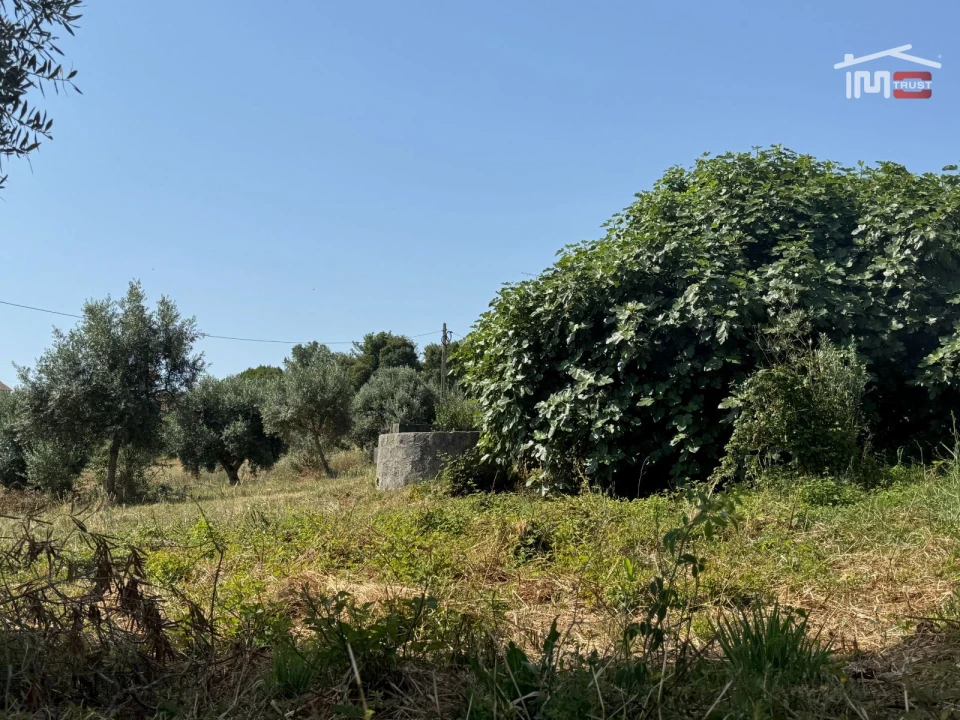 Terreno Agricola ou Rústico para Venda em Atouguia Foto 30