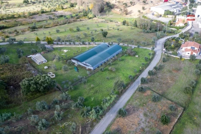 Terreno Agricola ou Rústico para Venda em Atouguia