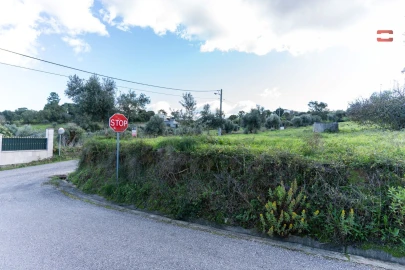 Terreno Agricola ou Rústico para Venda em Atouguia