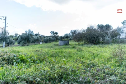 Terreno Agricola ou Rústico para Venda em Atouguia