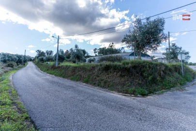 Terreno Agricola ou Rústico para Venda em Atouguia