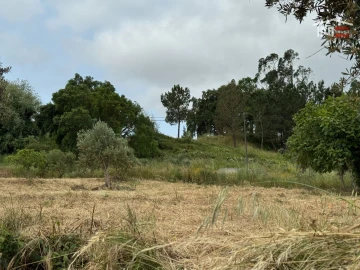 Terreno Agricola ou Rústico para Venda em Atouguia