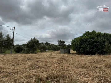 Terreno Agricola ou Rústico para Venda em Atouguia