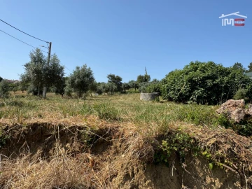 Terreno Agricola ou Rústico para Venda em Atouguia