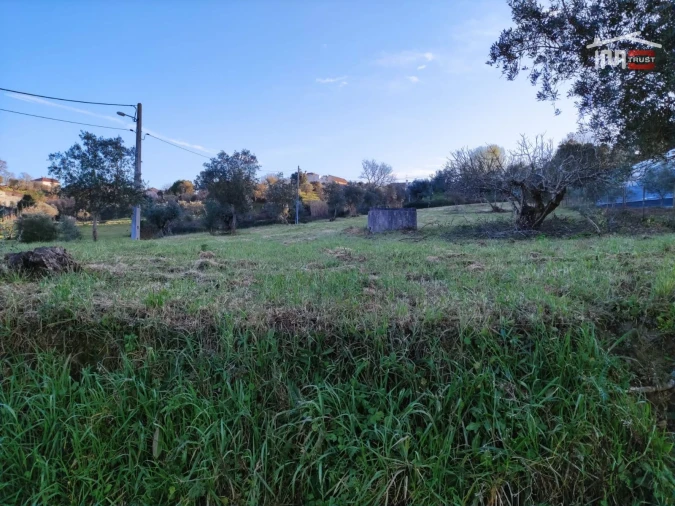 Terreno Agricola ou Rústico para Venda em Atouguia Foto 5