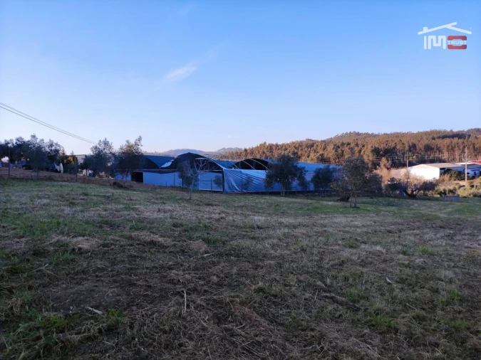 Terreno Agricola ou Rústico para Venda em Atouguia Foto 7