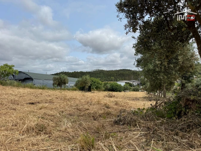 Terreno Agricola ou Rústico para Venda em Atouguia Foto 19