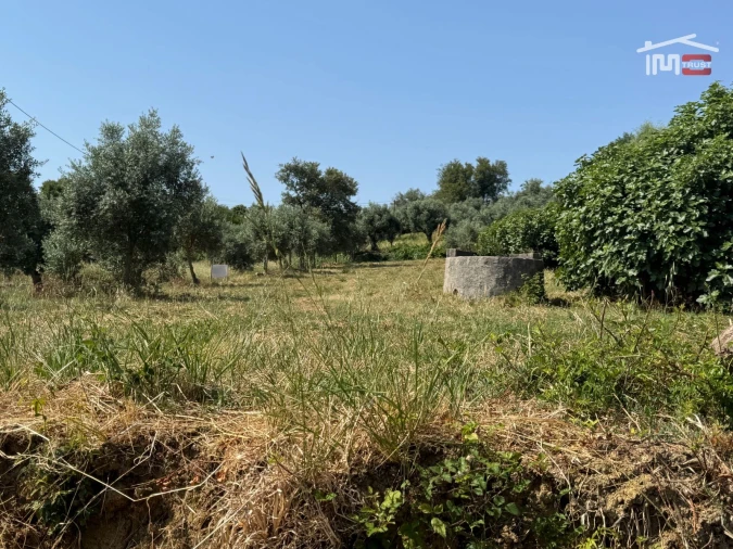 Terreno Agricola ou Rústico para Venda em Atouguia Foto 2
