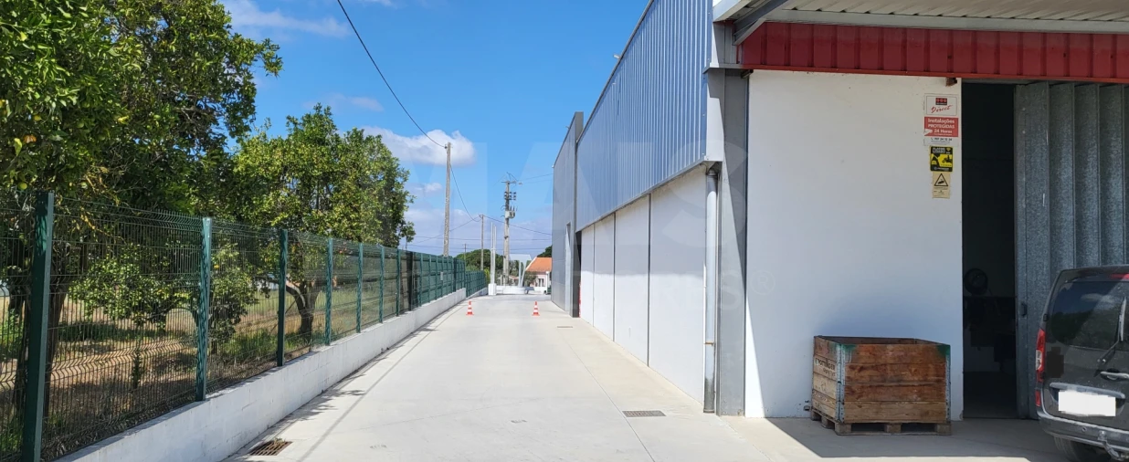 Loja para Venda em Salvaterra de Magos e Foros de Salvaterra Foto 11