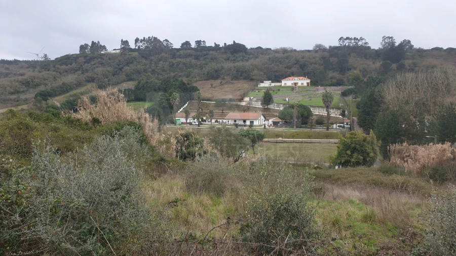 Terreno para Venda em Santo Quintino Foto 7