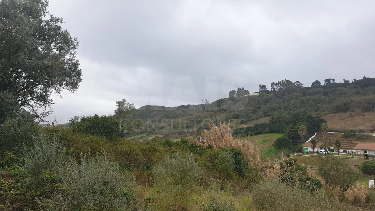 Terreno para Venda em Santo Quintino Foto 8